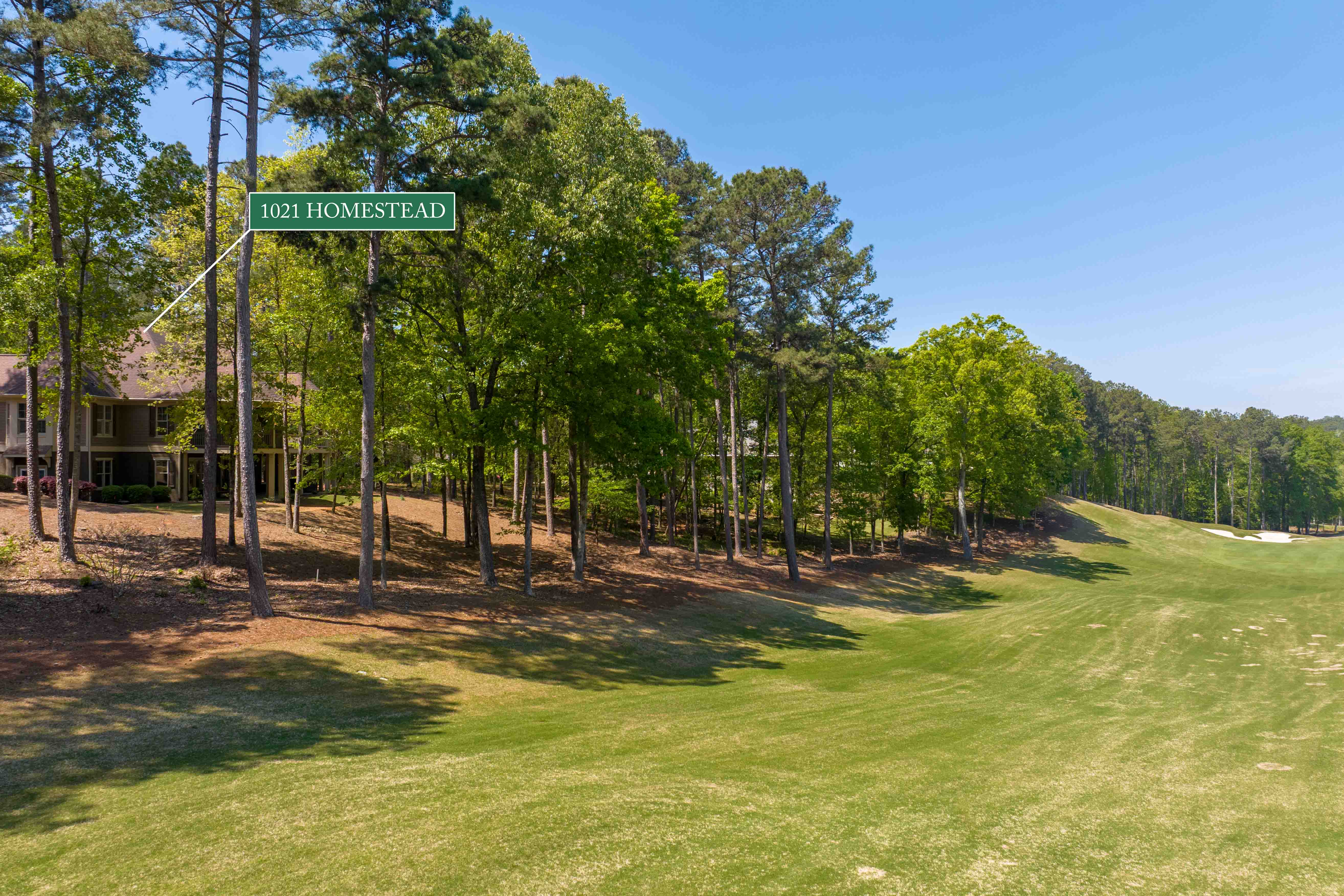 1021 Homestead image 39